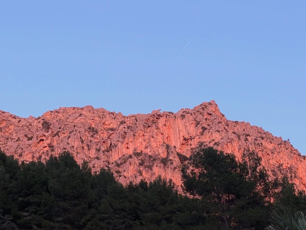 Bergrücken im Abendrot über einem Saum aus Kiefern.