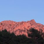Bergrücken im Abendrot über einem Saum aus Kiefern.