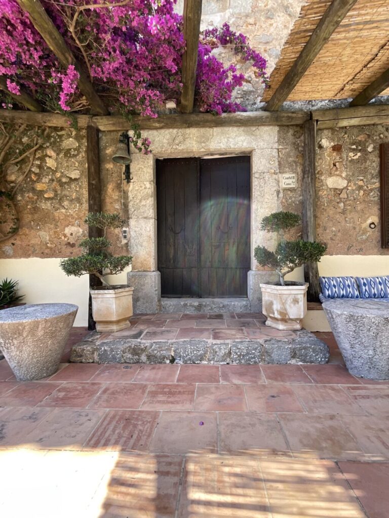 Eingang der Finca mit dunkler Holztür, überwachsen von Bougainvillea, davor ein Olivenbäumchen im Topf.
