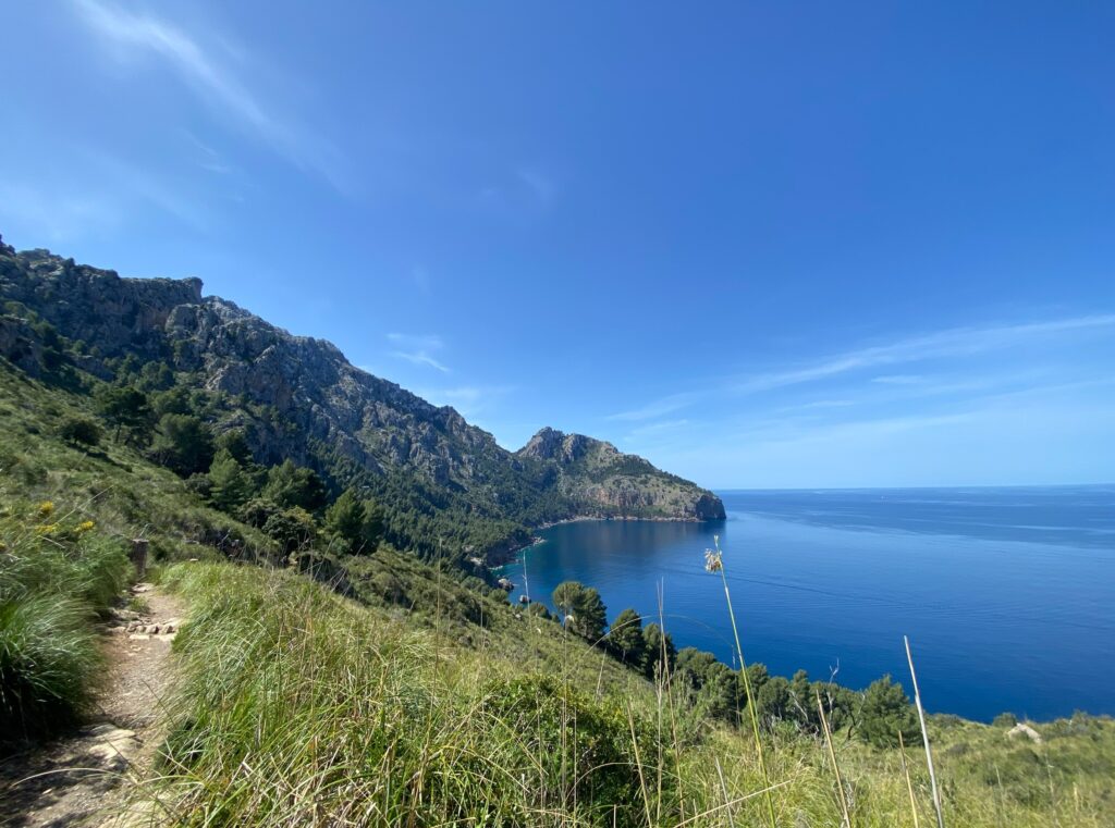 Küstenwanderweg mit weitem Blick über das Meer.
