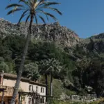 Hohe Palme vor einer Felswand, darunter das Dach der Finca und der Pool.